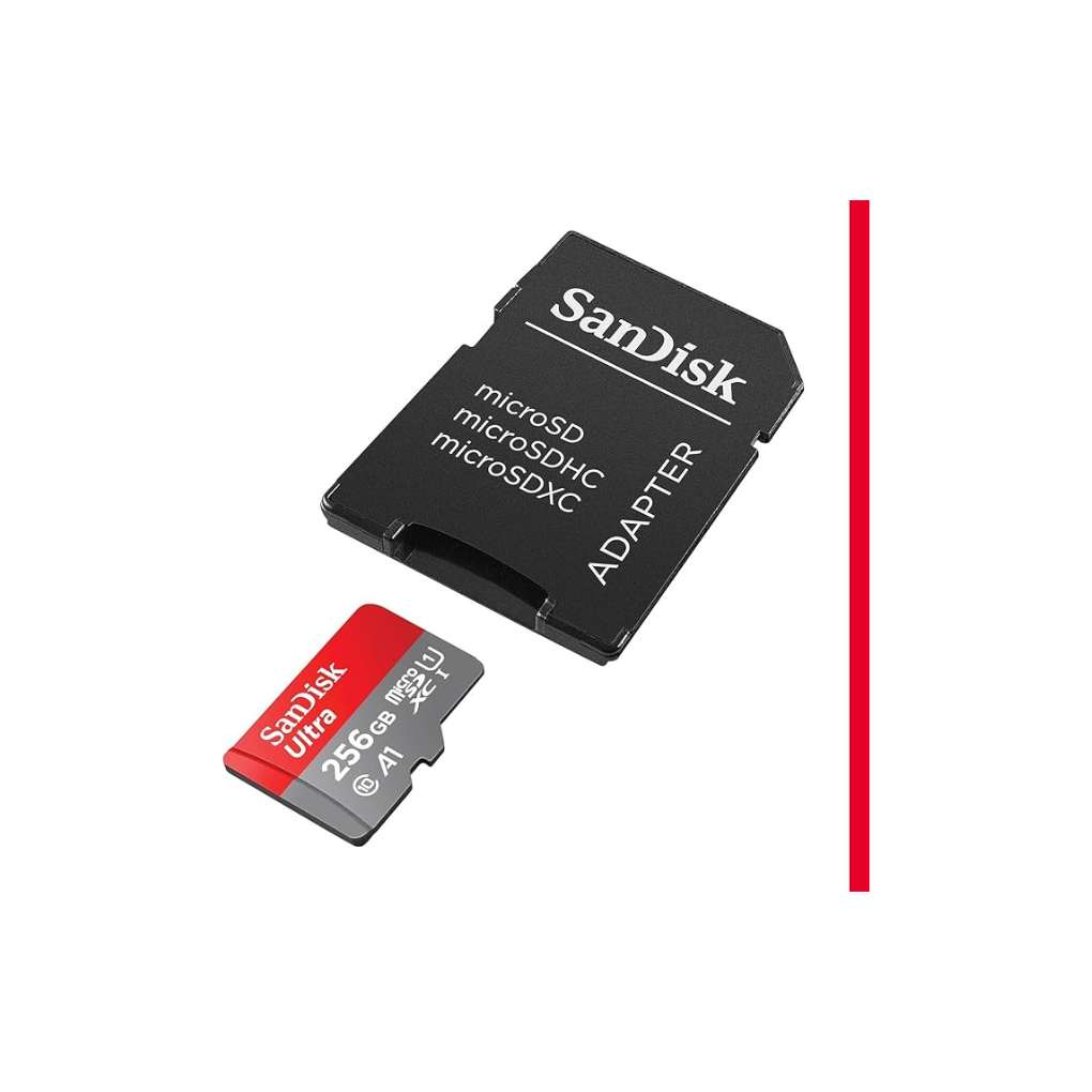 256GB Micro Class 10
