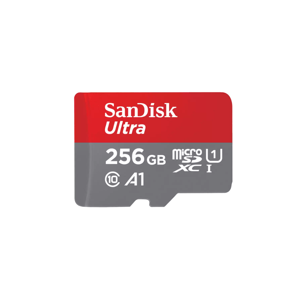 256GB Sandisk SD Class 10