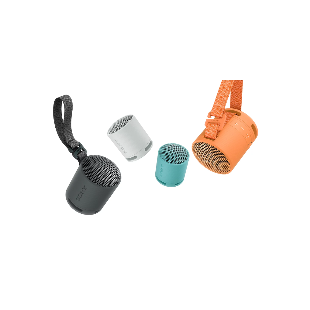 XB100 Portable Wireless Speaker